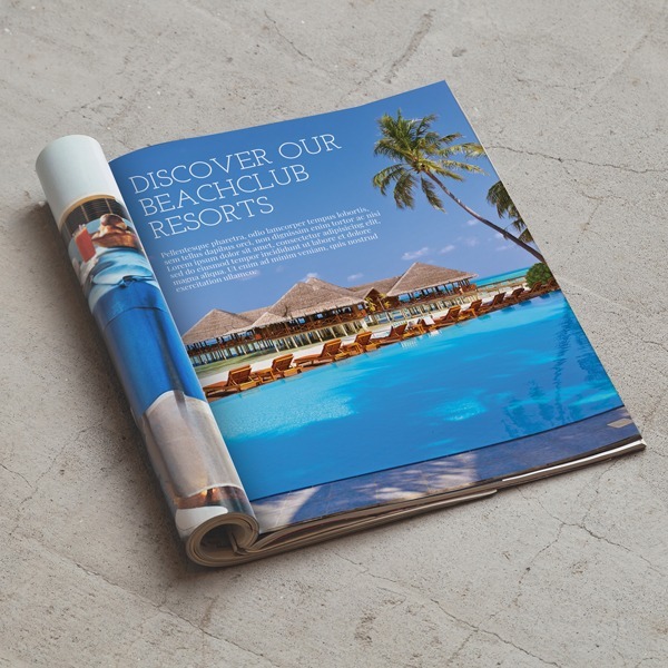 Inside pages of the custom catalog, organized layout, product images, detailed descriptions